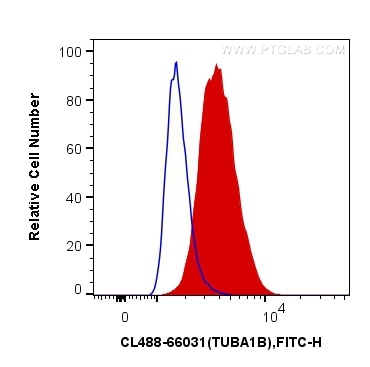 Flow cytometry (FC) experiment of HepG2 cells using CoraLite® Plus 488-conjugated Alpha Tubulin Monocl (CL488-66031)