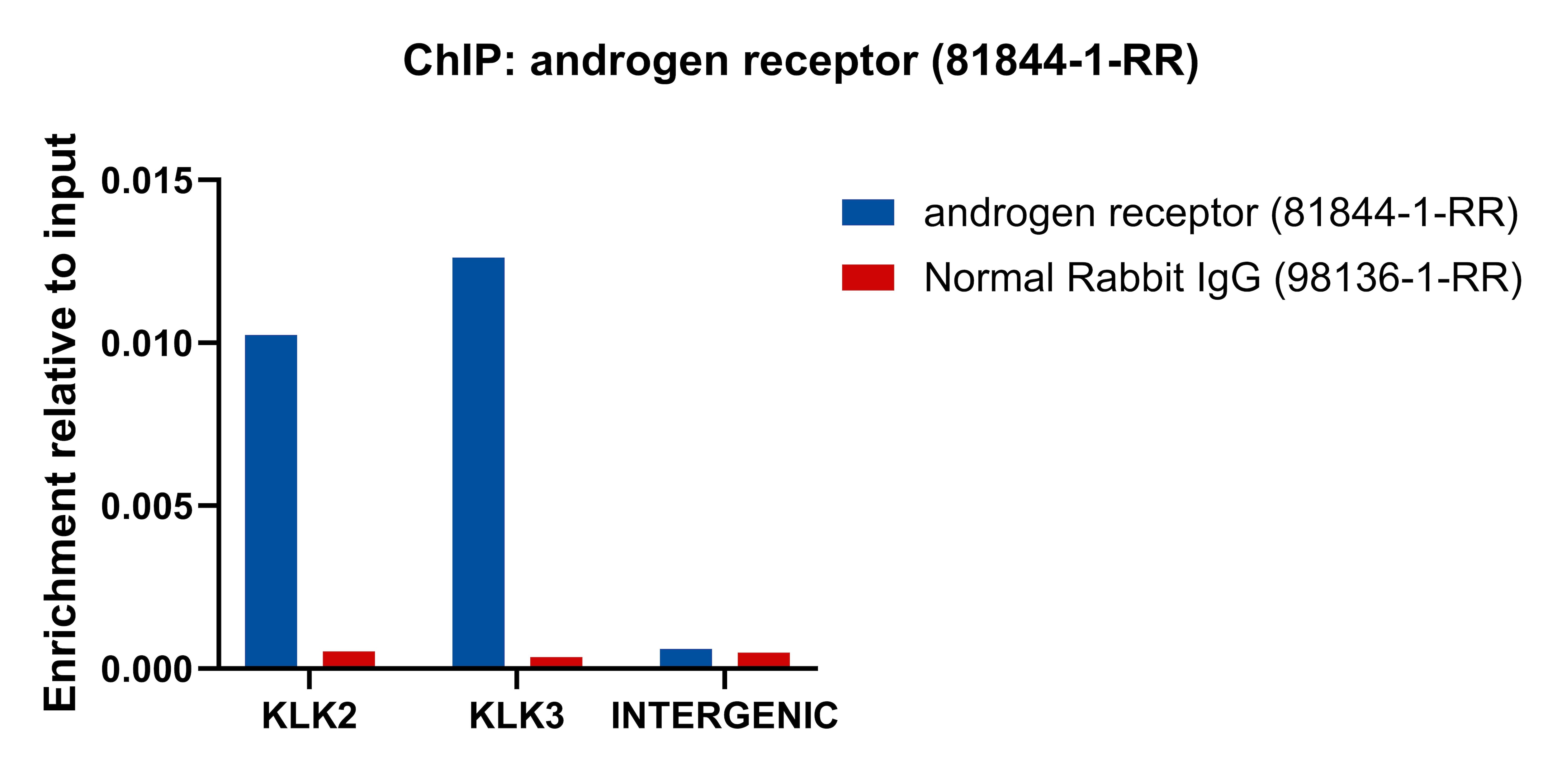 Chromatin was prepared from LNCaP cells grown in phenol red free medium and 5% charcoal stripped FBS for 3 d then treated with dihydrotestosterone (DHT, 10 nM) for 4 hours. Cells were fixed with formaldehyde for 10 minutes. The ChIP was performed with 15 µg of cross-linked chromatin, 5 µg of androgen receptor (81844-1-RR) or 5 ug of Normal Rabbit IgG (98136-1-RR), and 20 µl of Protein A Magarose Beads. The immunoprecipitated DNA was quantified by real-time PCR. ChIP experiment of LNCaP cells using androgen receptor Recombinant monoclonal antibody (81844-1-RR)