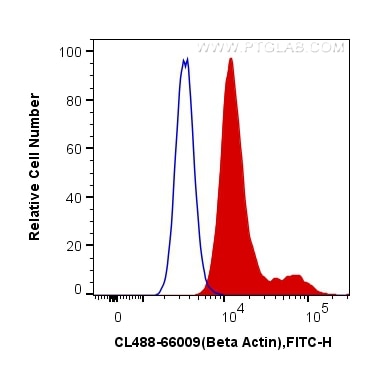 Flow cytometry (FC) experiment of HeLa cells using CoraLite® Plus 488-conjugated Beta Actin Monoclona (CL488-66009)