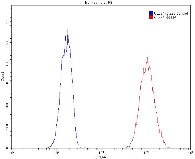 Flow cytometry (FC) experiment of HepG2 cells using CoraLite®594-conjugated Beta Actin Monoclonal anti (CL594-66009)