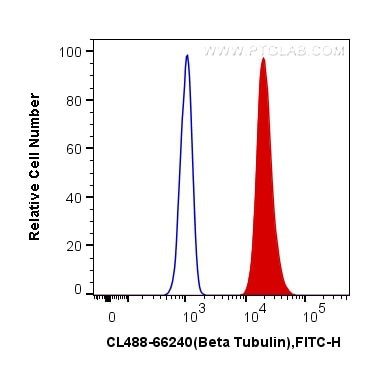 Flow cytometry (FC) experiment of HeLa cells using CoraLite® Plus 488-conjugated Beta Tubulin Monoclo (CL488-66240)