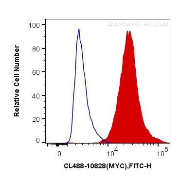 Flow cytometry (FC) experiment of HeLa cells using CoraLite® Plus 488-conjugated c-MYC Polyclonal ant (CL488-10828)