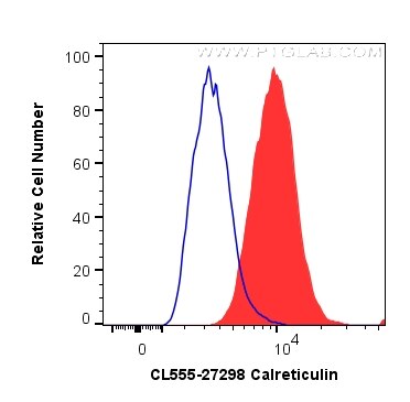 calreticulin