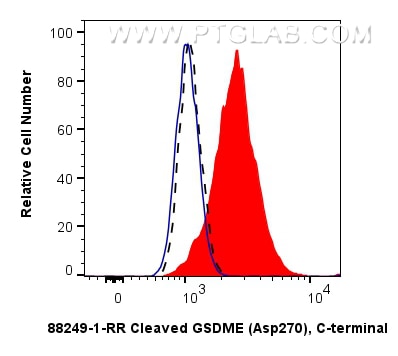 FC experiment of SH-SY5Y using 88249-1-RR (same clone as 88249-1-PBS) Flow cytometry (FC) experiment of SH-SY5Y cells using Cleaved GSDME (Asp270), C-terminal Recombinant mon (88249-1-RR)