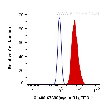 Flow cytometry (FC) experiment of Jurkat cells using CoraLite® Plus 488-conjugated cyclin B1 Monoclonal (CL488-67686)