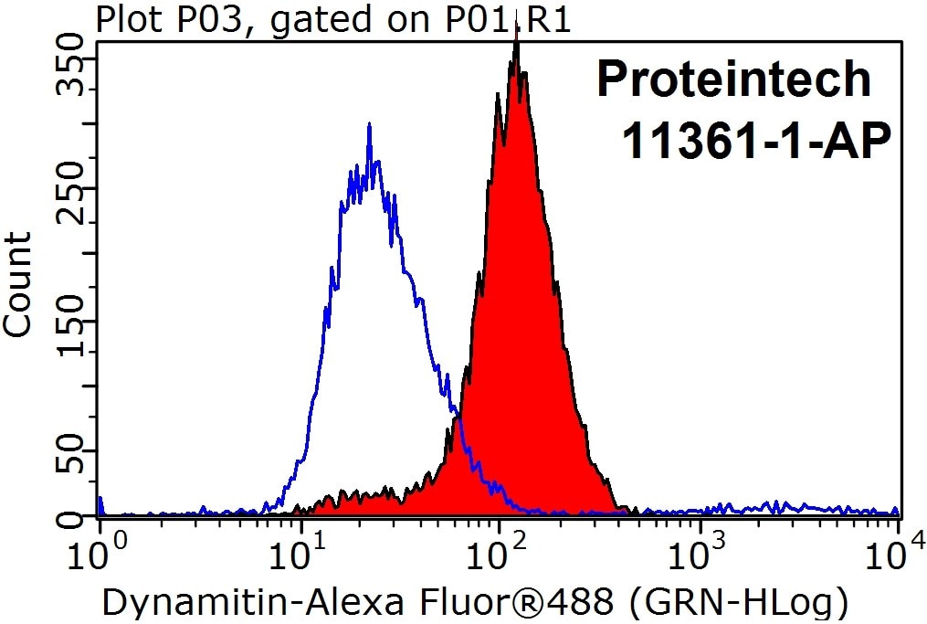 Flow cytometry (FC) experiment of HeLa cells using Dynamitin (1-401 AA) Polyclonal antibody (11361-1-AP)