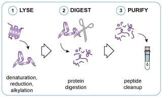 Preomics Technology Priciple.