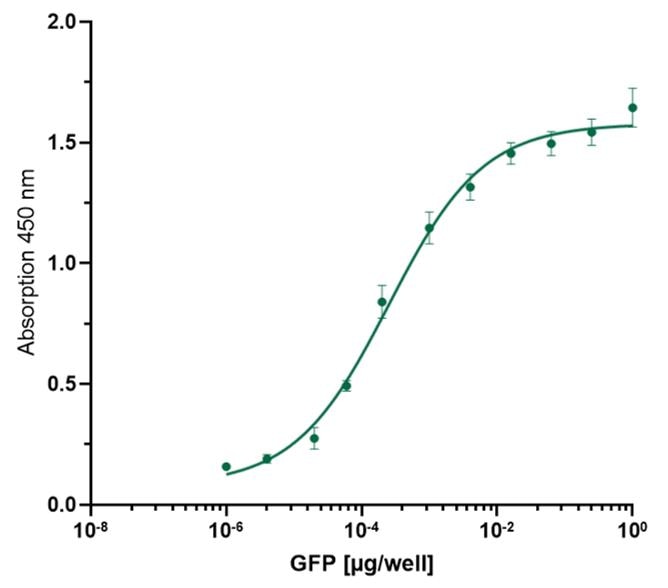 Standard curve of GFP titrated in HEK 293T cell lysate.