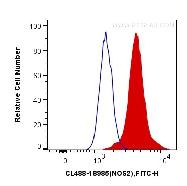 Flow cytometry (FC) experiment of HepG2 cells using CoraLite® Plus 488-conjugated iNOS Polyclonal anti (CL488-18985)
