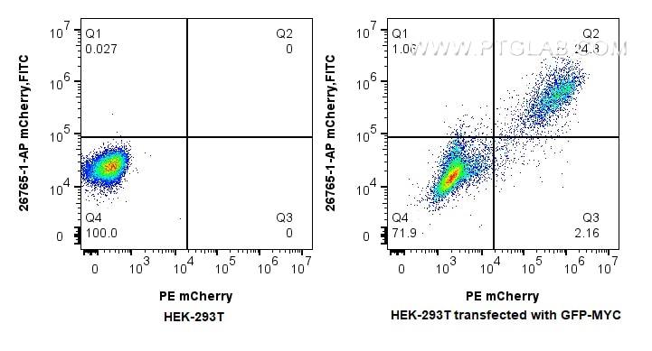 Flow cytometry (FC) experiment of Transfected HEK-293T cells using mCherry Polyclonal antibody (26765-1-AP)