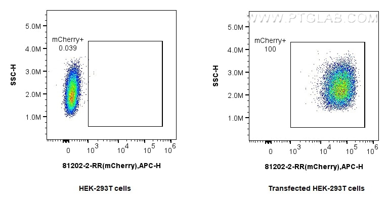 Flow cytometry (FC) experiment of Transfected HEK-293T cells using mCherry Recombinant antibody (81202-2-RR)