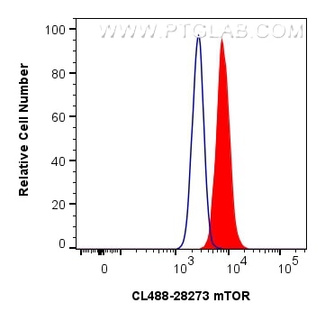 Flow cytometry (FC) experiment of HeLa cells using CoraLite® Plus 488-conjugated mTOR Polyclonal anti (CL488-28273)