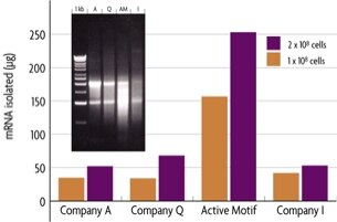 mTRAP comparison chart