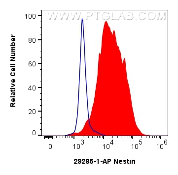 Flow cytometry (FC) experiment of SH-SY5Y cells using Nestin Polyclonal antibody (29285-1-AP)