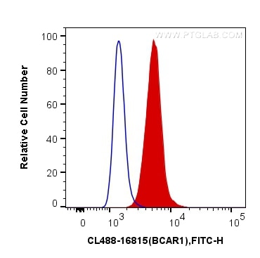 Flow cytometry (FC) experiment of A431 cells using CoraLite® Plus 488-conjugated p130Cas / BCAR1 Poly (CL488-16815)