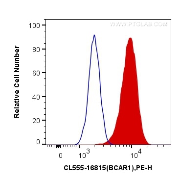 Flow cytometry (FC) experiment of A431 cells using CoraLite®555-conjugated p130Cas / BCAR1 Polyclonal (CL555-16815)