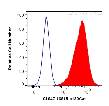 Flow cytometry (FC) experiment of HeLa cells using CoraLite® Plus 647-conjugated p130Cas Polyclonal a (CL647-16815)