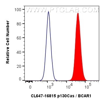 Flow cytometry (FC) experiment of A431 cells using CoraLite® Plus 647-conjugated p130Cas / BCAR1 Poly (CL647-16815)