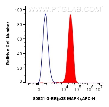 FC experiment of Jurkat using 80821-3-RR