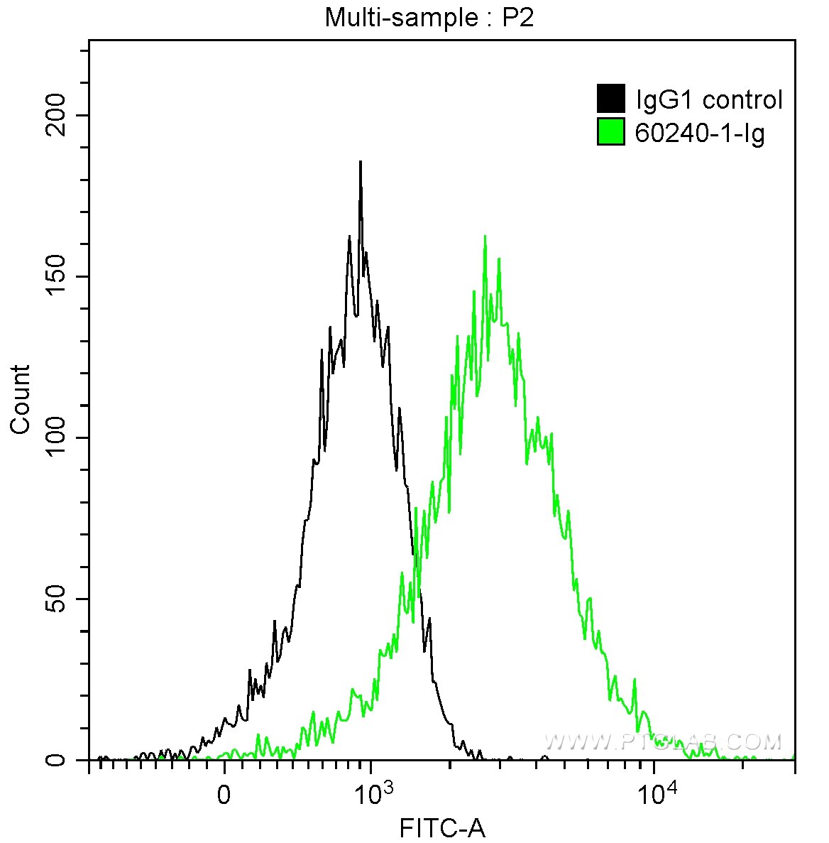 Flow cytometry (FC) experiment of HepG2 cells using p504S,AMACR Monoclonal antibody (60240-1-Ig)