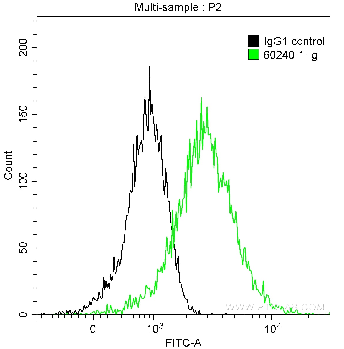 FC experiment of HepG2 using 60240-1-Ig