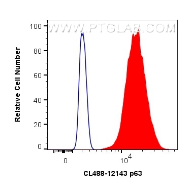 Flow cytometry (FC) experiment of A431 cells using CoraLite® Plus 488-conjugated p63 Polyclonal antib (CL488-12143)