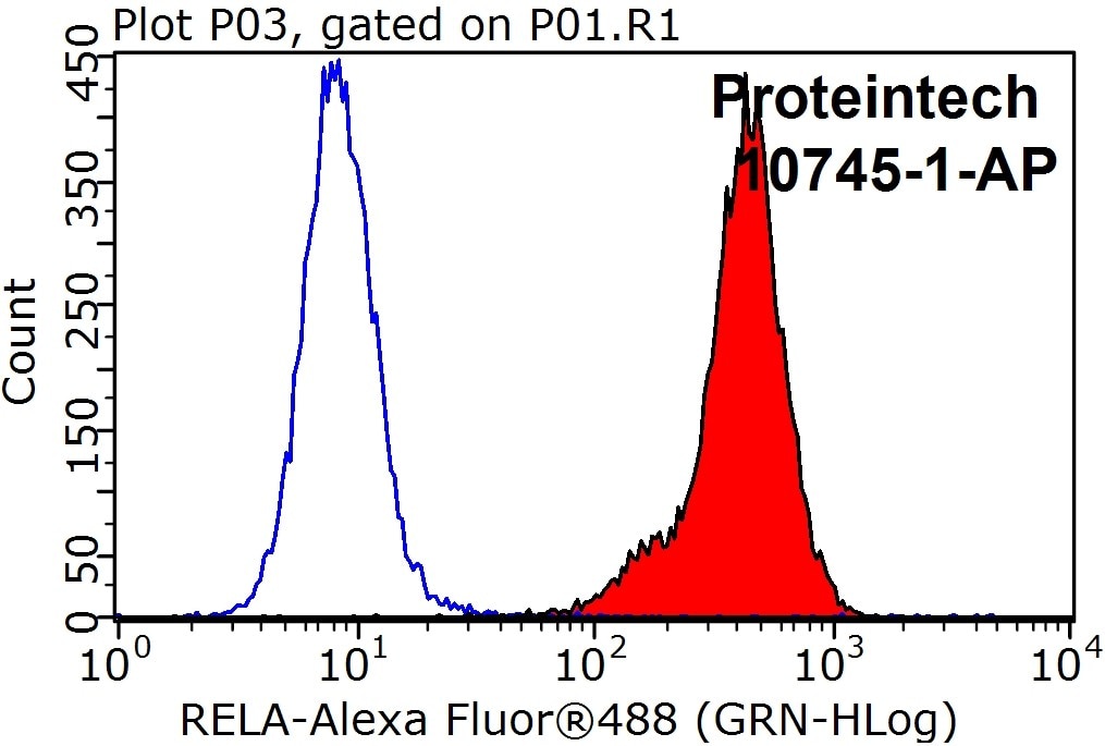 Flow cytometry (FC) experiment of HeLa cells using NF-κB p65 Polyclonal antibody (10745-1-AP)