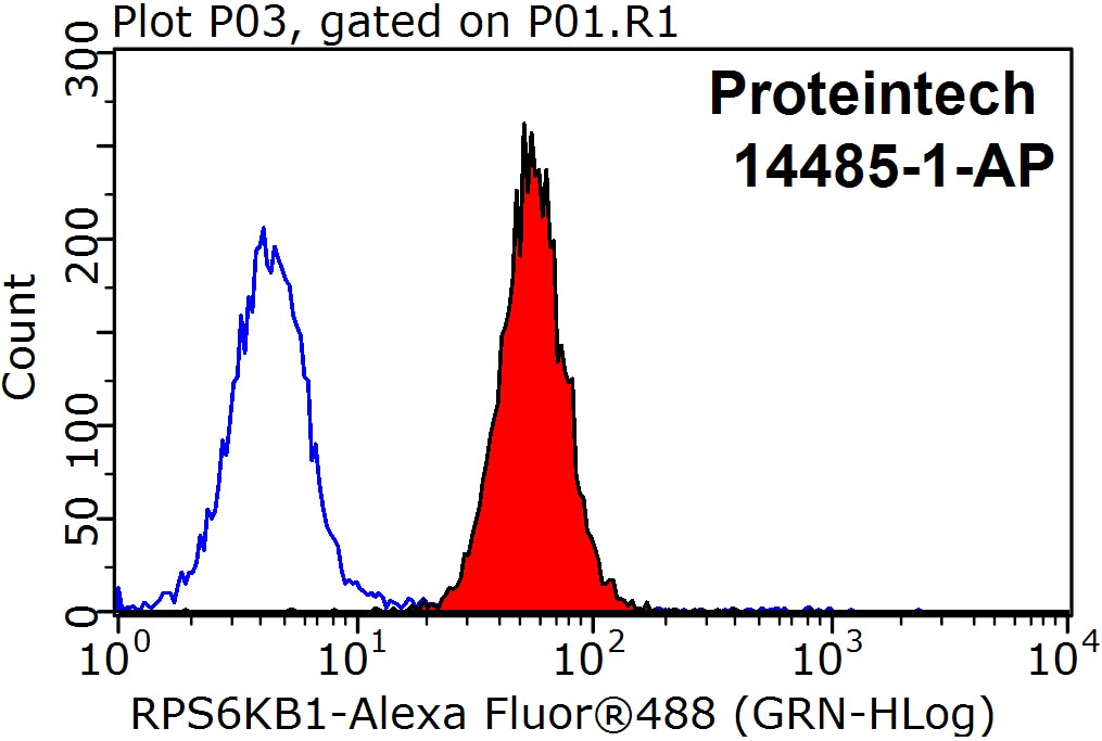 Flow cytometry (FC) experiment of HepG2 cells using p70(S6K) Polyclonal antibody (14485-1-AP)