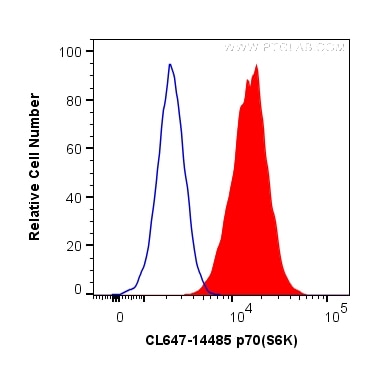 Flow cytometry (FC) experiment of HeLa cells using CoraLite® Plus 647-conjugated p70(S6K) Polyclonal  (CL647-14485)