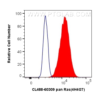 Flow cytometry (FC) experiment of HeLa cells using CoraLite® Plus 488-conjugated pan Ras Monoclonal a (CL488-60309)