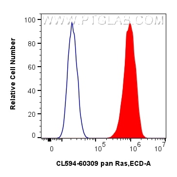 1x10^6 HeLa cells were intracellularly stained with 0.8 ug CoraLite®594-conjugated pan Ras Monoclonal antibody (CL594-60309, Clone:4H4G7)(red),  or 0.8 ug CoraLite®594 Mouse IgG1 Isotype Control (MOPC-21) (CL594-65124, Clone: MOPC-21) (blue). Cells were fixed and permeabilized with Intracellular Flow Cytometry Fixation & Permeabilization Buffer Kit (PF00019). Flow cytometry (FC) experiment of HeLa cells using CoraLite®594-conjugated pan Ras Monoclonal antibod (CL594-60309)