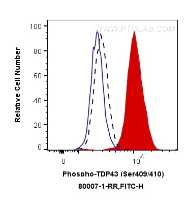Flow cytometry (FC) experiment of Jurkat cells using Phospho-TDP43 (Ser409/410) Recombinant antibody (80007-1-RR)