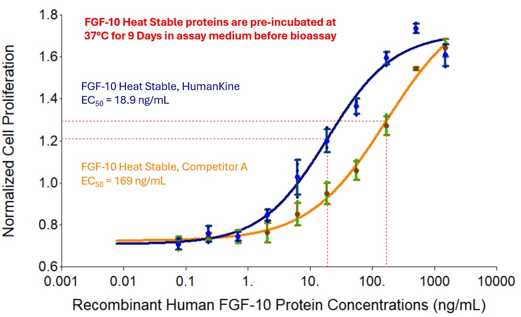 Recombinant human FGF-10 Heat Stable protein (Cat no: HZ-1344) stimulates dose-dependent proliferation of the MCF-7 human breast cancer cell line in serum free medium. Cell number was quantitatively assessed by PrestoBlue® Cell Viability Reagent. HumanKine FGF-10 Heat Stable and product from Competitor A were reconstituted and pre-incubated in assay medium for 9 days at 37°C before bioassay. MCF-7 cells were treated with increasing concentrations of recombinant FGF-10 Heat Stable for 96 hours. The EC50 was determined using a 4-parameter non-linear regression model. 