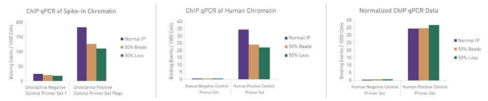 qPCR analysis