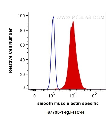 Flow cytometry (FC) experiment of C2C12 cells using smooth muscle actin specific Monoclonal antibody (67735-1-Ig)