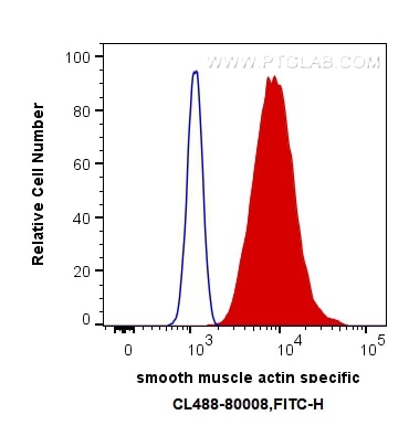 Flow cytometry (FC) experiment of C2C12 cells using CoraLite® Plus 488-conjugated smooth muscle actin  (CL488-80008)