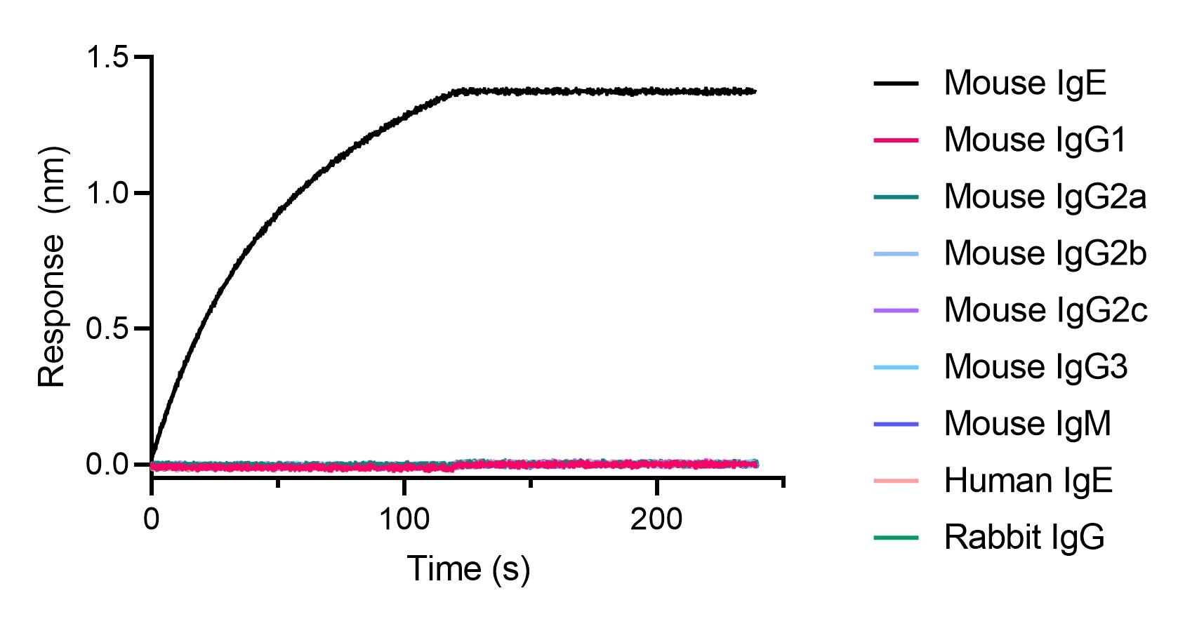 BLI binding kinetics of mouse, human and rabbit antibodies. 20 nM of mouse, human and rabbit antibodies were immobilized using Nano-CaptureLigand mouse IgE, VHH, biotinylated on FortéBio Streptavidin (SA) Biosensors. Only mouse IgE antibody is captured by the Nano-CaptureLigand with negligible dissociation.