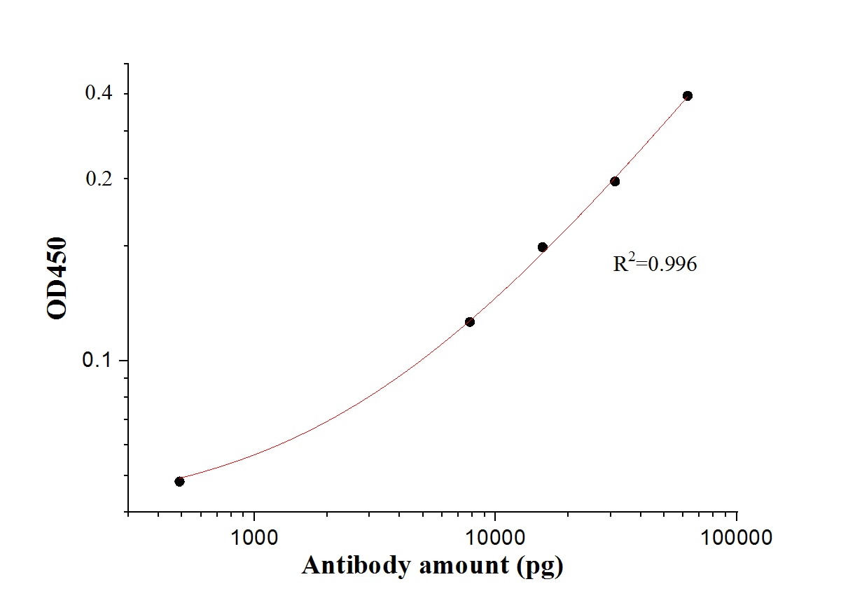 ELISA experiment of Recombinant protein using 28869-1-AP