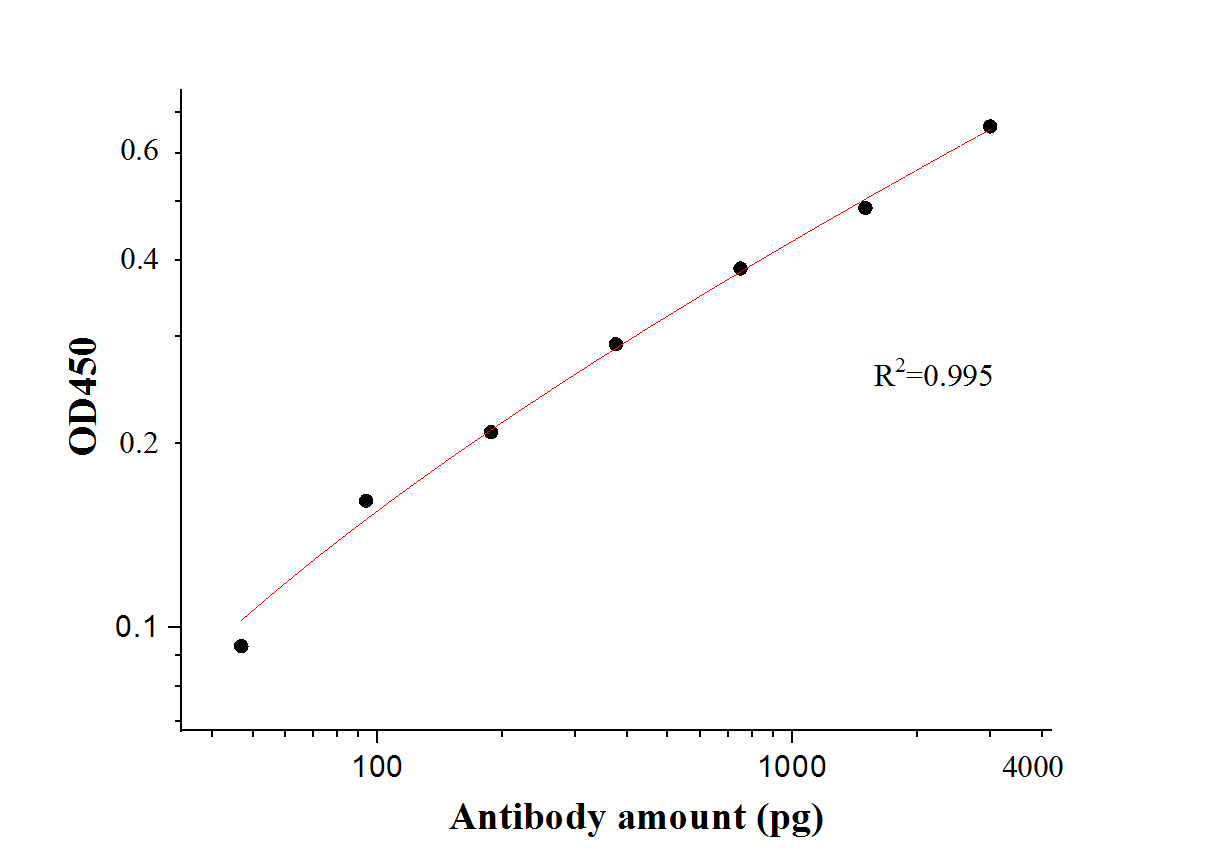 SARS-CoV-2 S protein (944-1214 aa)