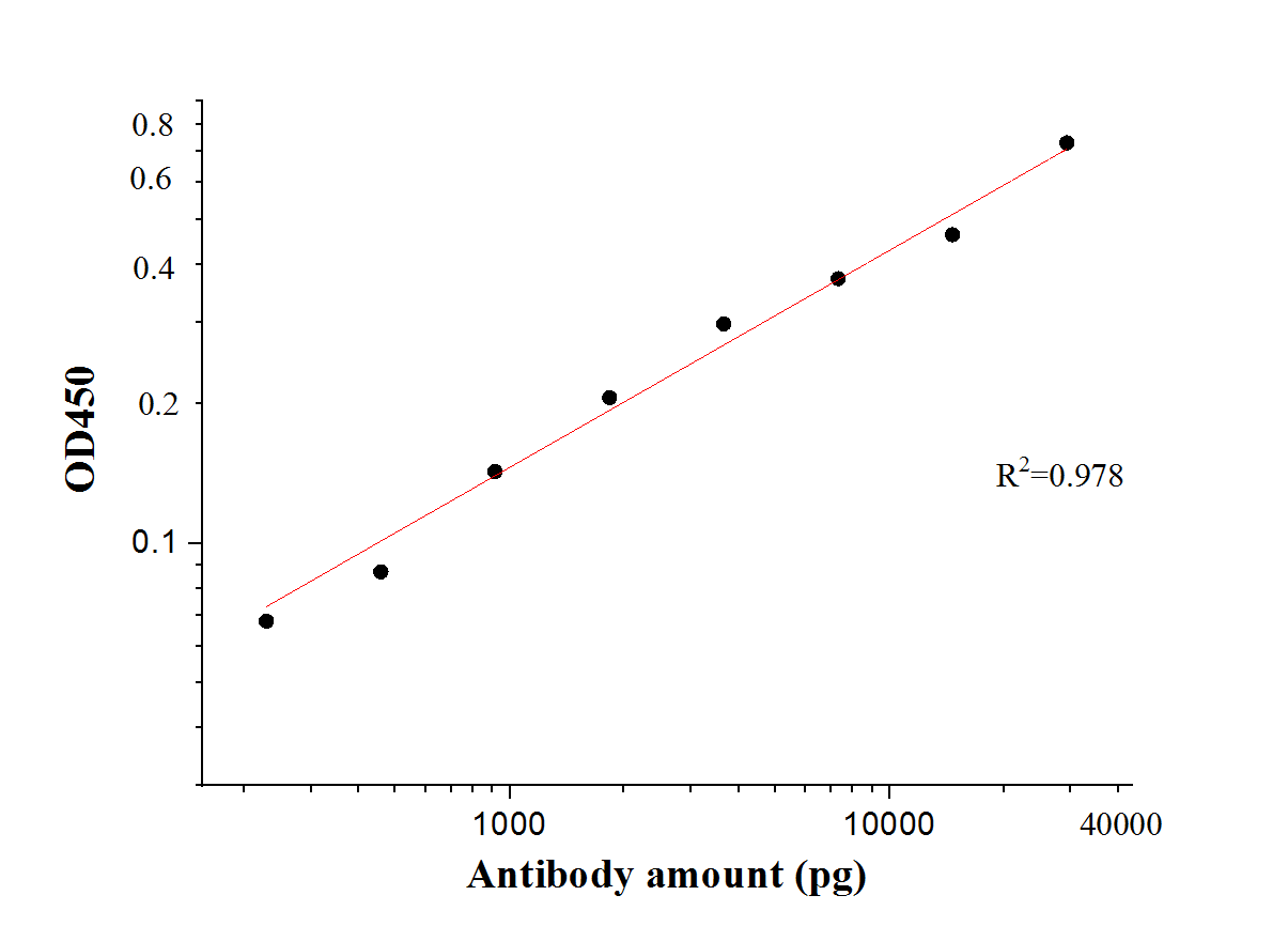 ELISA experiment of Recombinant protein using SARS-CoV-2 S protein (428-506 aa) Polyclonal antib (28901-1-AP)