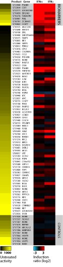 Heatmap data showing the untreated activity and induction response for each construct in the STAT1 Pathway Profiling Plate using HeLa human cervical cancer cells with 500 U/ml interferon alpha, or with 100 ng/ml interferon gamma, for 8 hours