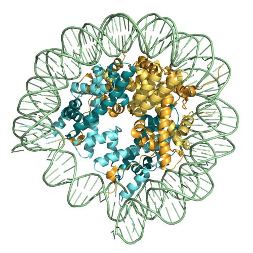 Structure of Histone.