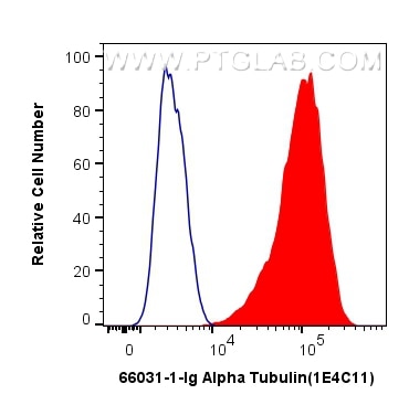 Flow cytometry (FC) experiment of HeLa cells using Alpha Tubulin Monoclonal antibody (66031-1-Ig)