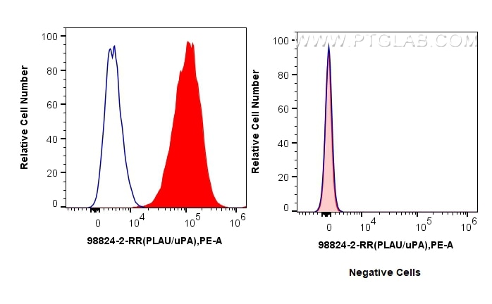 Flow cytometry (FC) experiment of HT-1080 cells using Anti-Human uPA/Urokinase Rabbit Recombinant Antibo (98824-2-RR)