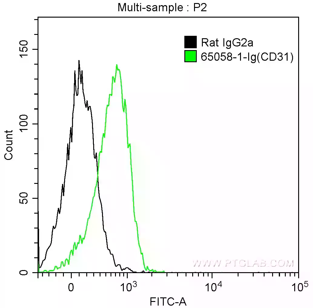 cd3129010