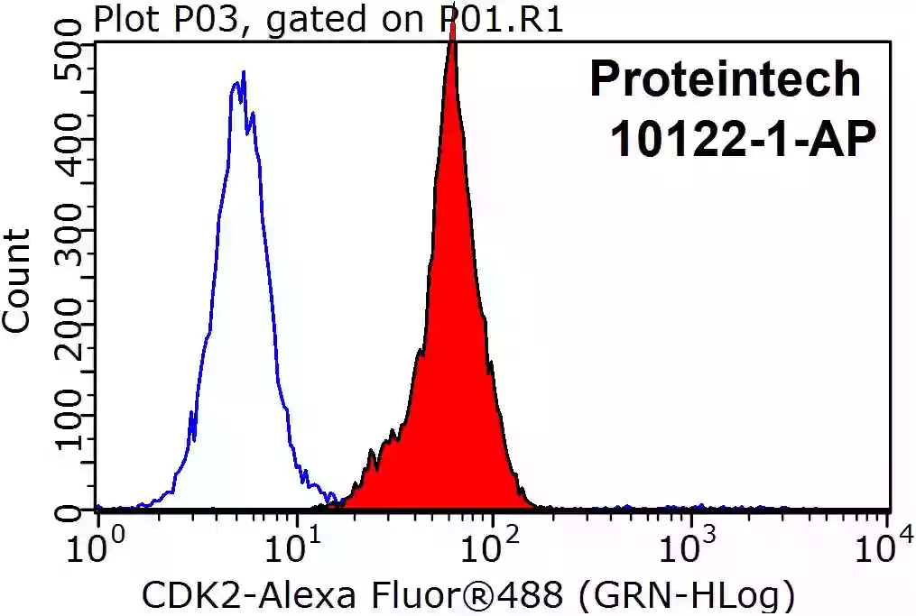 Histogram of HepG2 cells were stained with  CDK2 antibody conjugated with AlexaFluor488 and control antibody for flow cytometry