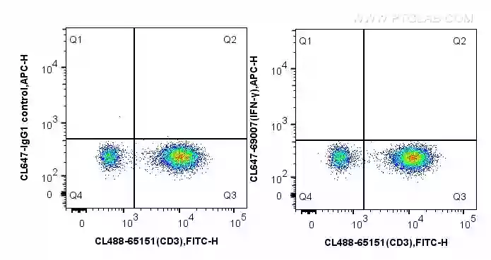 Ifn Gamma Antibody Cl647 Proteintech