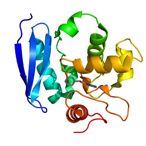 Structure of SNAP/CLIP-tag.