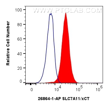 Flow cytometry (FC) experiment of HepG2 cells using SLC7A11/xCT Polyclonal antibody (26864-1-AP)