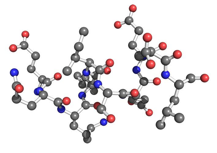 Structure of Myc tag.